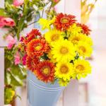 30 hoofden kunstmatige gerbera madeliefjes met dauwdruppel, 2 kleuren zijden madeliefjes die er echt uitzien met 3 vormige bladeren, nepbloemen die schitteren in het zonlicht voor