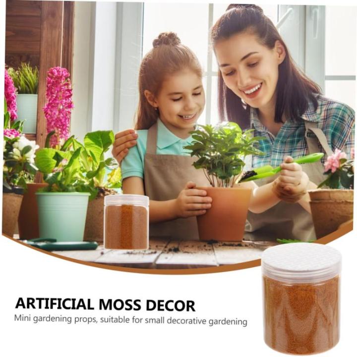 2 Stück 1 Moosrasenpulver grünes Dekor Blumenmittelstücke Mini DIY kunstpflanze Teppiche Simulation Rasendekor Szenenlayout-Dekor künstlich Anlage Kunstrasen Zubehör Unkraut N