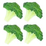 20 STK Simulierter Blumenkohl Dekorative Gemüsemodelle Realistische Gemüseattrappen Kunstpflanzen lebensechtes Gemüse simulierte Gemüsebrokkolischeibe simulierte Brokkoli-Model