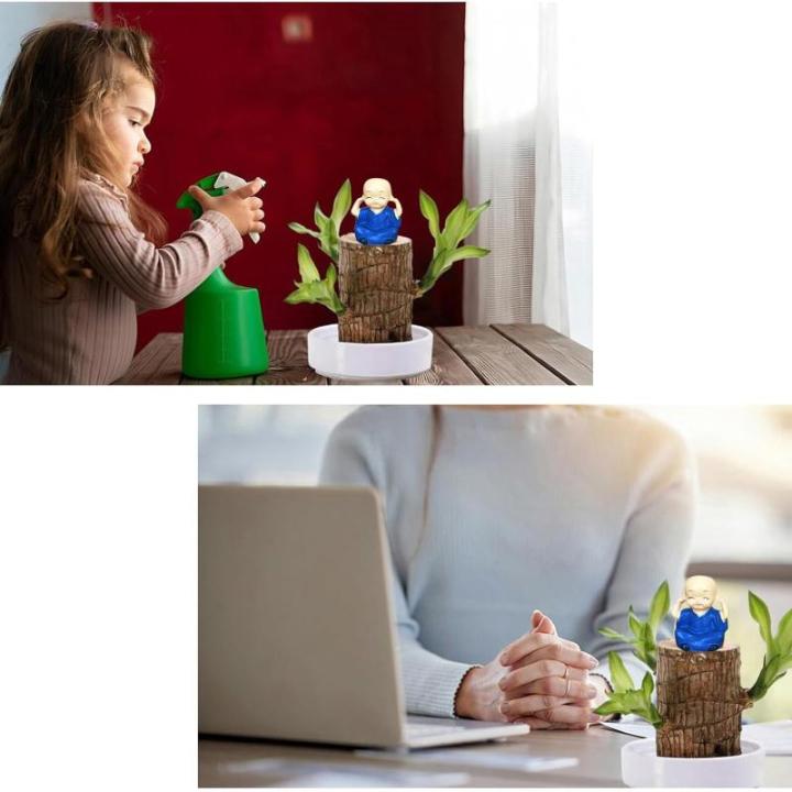 Braziliaanse planten indoor geluksholt plant set kleine mini-plant desktopplanten Braziliaanse houten plant met monnetje Braziliaans hout plantenstronk hout hydrocultuurplant (blau