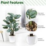 24 inch Calatheas Orbifolia Goeppertia Orbifolia Plant Tropische Faux Groene Plant Arrangement in Pot voor Home Garden Office Decoratie