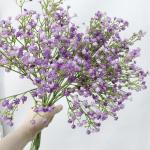 Gypsophila , 10 stuks Gypsophila-planten, voor bruiloft, bruidsboeket, thuis, knutselen en decoratie (paars)