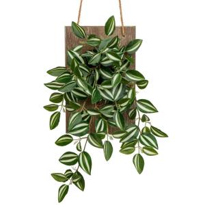 Kunstplant Peperomia watermeloenen als echte hangplant decoratieve planten