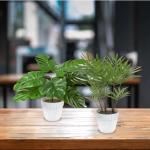 Set van 2 , zoals echt in witte bloempot, Monstera en Areca kunstpalm (25 cm), kunstplant voor decoratie woonkamer, decoratie slaapkamer, badkamerdecoratie,