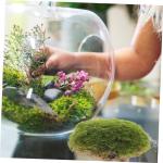 6 Stück Künstliche Moossteine Pflanzendekoration Imitierte Moosdekor Pflanzenwandornament Künstliche Moossteine Mikro Landschaft Künstliche Moossteine Garten Layout