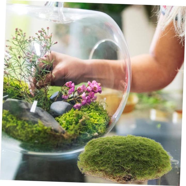 6 Stück Künstliche Moossteine Pflanzendekoration Imitierte Moosdekor Pflanzenwandornament Künstliche Moossteine Mikro Landschaft Künstliche Moossteine Garten Layout