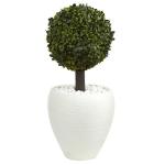 Boxwood Topiary In ' 1 Buchsbaum-Formschnitt in weißem, ovalem Übertopf, Kunststoff, 26"