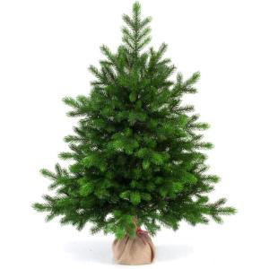 Altair Kunstkerstboom, 65 cm, klassiek groen, 62 takken, 100% PE-punten, inclusief standaard, zaklinnen