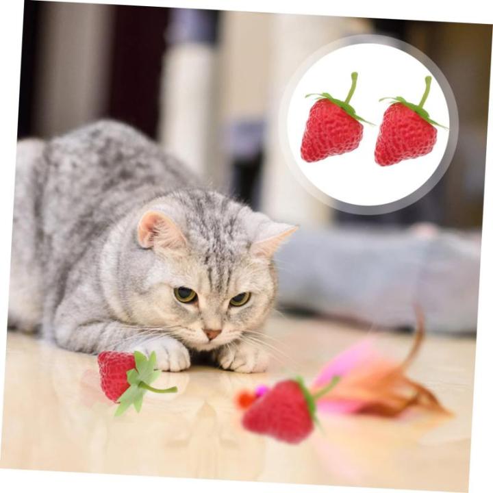 5 Sätze Simulierte Erdbeeren Künstliche Früchte Erdbeeren Küchendekoration Falsche Früchte Künstliche Erdbeeren Künstliche Erdbeeren Mini Spielzeug 18 Stück * 5