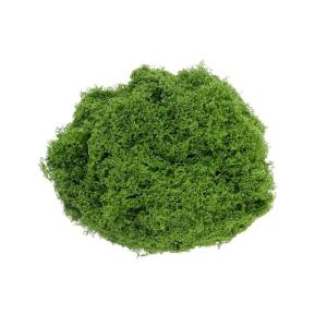 50 g kunstmos, natuurlijk donkergroen, kunstmos, knutselmos, kunstmos, kunstmos, , groene planten, mosbladeren, filamenteus kunstmos voor bloemen, planten, tuin, gazon,