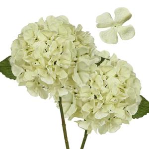2 stuks hortensia's kunstbloemen ivoor, Ø 19 cm, kunstbloemen, hortensia, als echt voor bruidsbruidsboeketten, huis, kantoor, hotel, feestdecoratie, middenstukken, bloemstukken