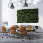 Plantenwand, , wandplanten, 50 x 50 cm, decoratie voor muur/balkon/tuin, Gardenia