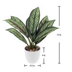 Künstliche Calathea Zimmerpflanze Kunstpflanze Buschig mit 8 gefärbten Blättern im Kunststofftopf, Höhe 33cm, Grün-Rot