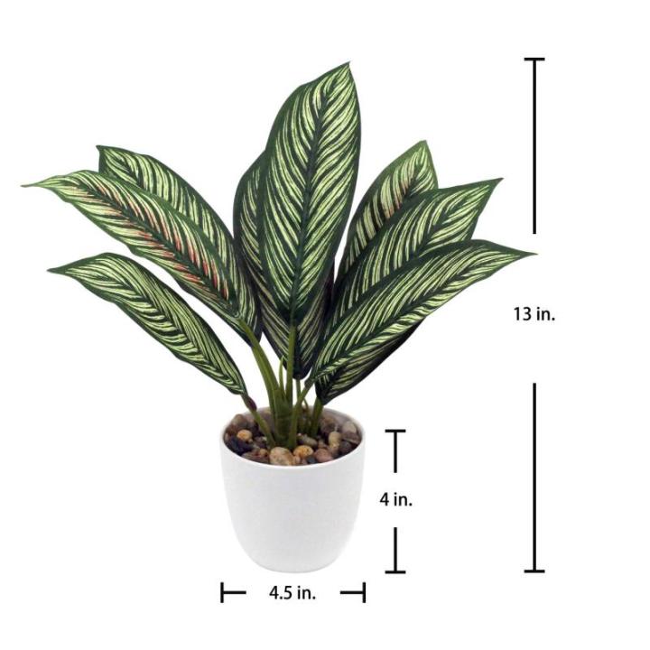Künstliche Calathea Zimmerpflanze Kunstpflanze Buschig mit 8 gefärbten Blättern im Kunststofftopf, Höhe 33cm, Grün-Rot