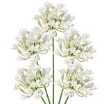 5 stuks kunstbloemen, sierlelie als echte kunstmatige agapanthus, bloemen, 75 cm lengte, lentebloemen, witte decoratieve bloemen voor bloemstuk, thuis, resto, kantoordecoratie