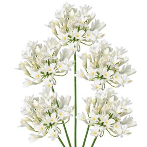 5 stuks kunstbloemen, sierlelie als echte kunstmatige agapanthus, bloemen, 75 cm lengte, lentebloemen, witte decoratieve bloemen voor bloemstuk, thuis, resto, kantoordecoratie