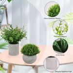 Set van 4 , decoratieve voor binnen in potten, plastic voor het bureau, bureautafel en planten
