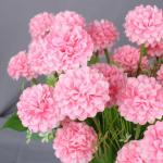 Fake Blumen Kunstblumen Künstliche Pflanzen Blume Deko Hortensien Blumenarrangements Kernstück Hochzeit Blumenstrauß für Garten Büro Haus Fenster Hochzeit 0504
