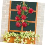 1 Satz Simulation Obst Hängende Schnur Zitronenornament Künstliche Äpfel Zur Lebensechten Dekoration Faux Früchte Stütze Heimdekoration Lehrmodelle Für Obst Ornamente PVC Rot
