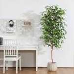 Ficus Benjamina , 180 cm, groot, met natuurhouten stam, kamerplant, kunstboom in pot, voor thuis, kantoor, balkon, decoratie (2 stuks)