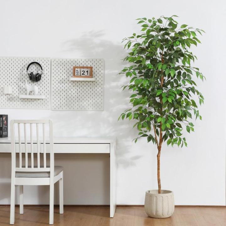 Ficus Benjamina , 180 cm, groot, met natuurhouten stam, kamerplant, kunstboom in pot, voor thuis, kantoor, balkon, decoratie (2 stuks)