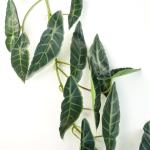 Ontwerp kunstmatige hangende planten
