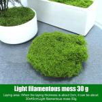 Hergestellt aus Kunststoff, lebensechtes Kunstmoos für Blumentopf-Dekoration und Bastelprojekte (hellgrün 30)
