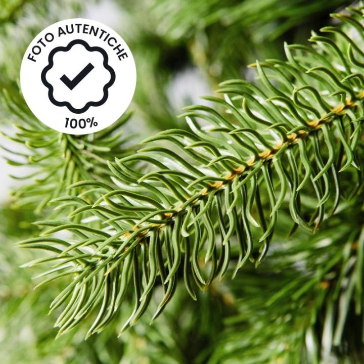 Weihnachtsbaum Slim aus realistischem PVC, ideal für kleine Räume, von höchster Qualität, 714 dichte Zweige und Stabiler Boden, Elegantes Design für Klassische Weihnachtsdekor