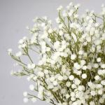 Gypsophila , 10 stuks, decoratieve voor thuis, bruiloft, feest, decoratie, boeket