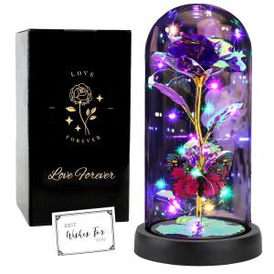 De mooie en het Beest Eeuwige Rose, Galaxy Rose, cadeau voor vriendin, roos in een glazen koepel met ledlicht, cadeau voor mama (paars)