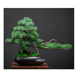 Künstlicher Bonsai-Baum Künstliche Bonsai-Kunstkiefer und schwarze Keramiktöpfe, künstliche Topfpflanze, Schreibtisch-Display, gefälschter Baum, Topfornamente for Badezimmer, 