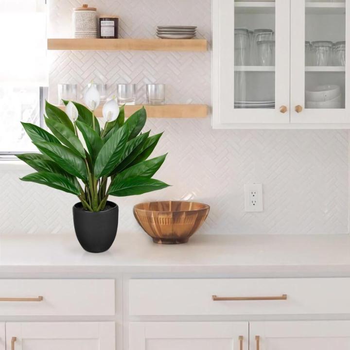 Kunstplant als echte kunstplant, decoratieve plant Calathea, struikachtig met 22 bladeren in kunststof pot, kamerplant, hoogte 43 cm, groen