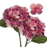 2 stuks kunsthortensia's, Ø 19 cm, kunstbloemen, hortensia, als echt voor bruidsboeketten, huis, kantoor, hotel, feestdecoratie, middenstukken, bloemstukken