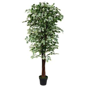 Benjamin Ficus Kunstplant in pot, plastic planten, kamerplant, 180 cm, als echte decoratie, interieurdecoratie, 180 cm