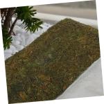 1 Rolle Künstlicher Moosrasen Kunstrasenfliesen Moos Kulisse Terrasse Bastelmoosmatte Realistische Grasfliese Tischläufer Aus Gras Landschaftsbau Moos Künstliches Moos Green