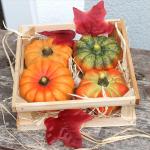 Zierkürbisse bunt als kleine Herbst-Deko im 4er Set - Keramik Deko-Kürbisse als wetterfeste Outdoor Gartendeko - Kürbis-Deko als Erntedankfest Zimmer-Deko oder draußen Haustür