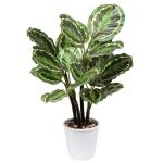 24 inch Kunstmatige Calathea Medallion Plant Nep Planten Home Decor Tropische Faux Plant in Pot voor Home Garden Office Decoratie