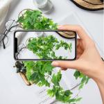 Hangende , 2 stuks, eucalyptus-bladeren, hangend, onderhoudsvrije plastic hangplanten, namaakklimplanten voor muur, keuken, hangmand, decoratie (100 cm)