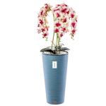 Künstliche Orchidee Kaskaden Blumenstrauß Creme und Rosa im Topf Blau H 110 cm Heimbüro Dekoration, Kunstpflanze Orchidee, Kunstblume, Künstliche Orchidee im Topf