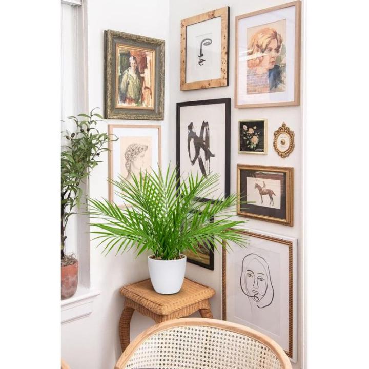 Kunstplant in pot, kunstpalm, decoratie, moderne kunstpalm, , kunststof, plantendecoratie voor woonkamer, balkon, slaapkamer, badkamer, tafeldecoratie, wit