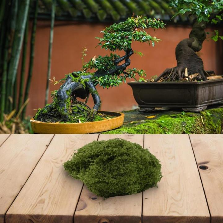 Hergestellt aus Kunststoff, lebensechtes Kunstmoos für Blumentopf-Dekoration und Bastelprojekte (dunkelgrün 50)