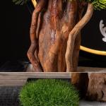 Künstlicher Bonsai-Baum Künstliche Bonsai-Kiefer, 61 cm, künstliche Topf-Kiefer, künstliche Pflanzen for Heim- und Bürodekoration, Höhe 40,6 cm Künstliche Bäume Pflanzen(B)
