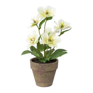 Christrosenbusch weiß-grün im Keramik Topf I weihnachtliche Christrose 28cm I Christrosen im Topf künstlich I Weihnachtsdeko I hochwertige Kunstpflanzen für Weihnachten
