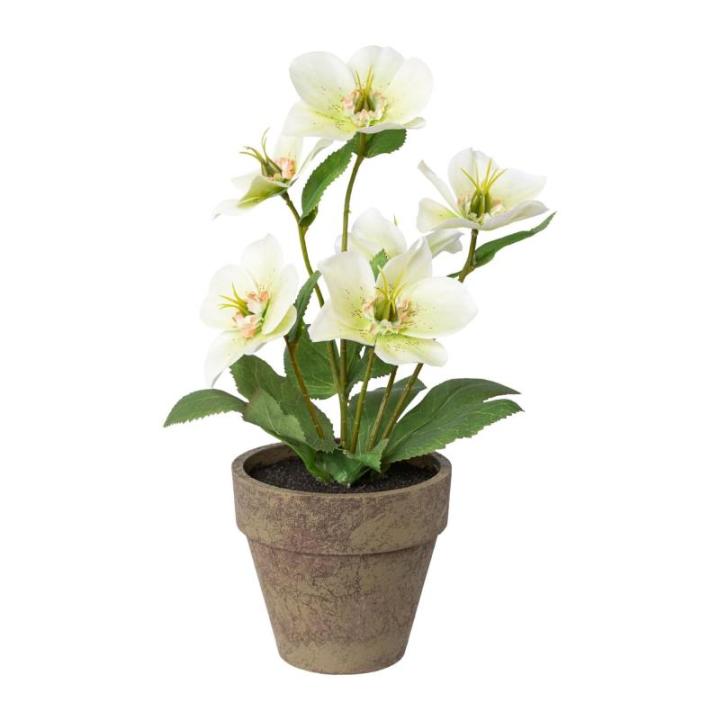 Christrosenbusch weiß-grün im Keramik Topf I weihnachtliche Christrose 28cm I Christrosen im Topf künstlich I Weihnachtsdeko I hochwertige Kunstpflanzen für Weihnachten