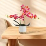 Künstliche Blume Phalaenopsis Bonsai Dekoration Künstliche Orchidee Blume lebensechte künstliche Blume Display in Weißgoldrand Topf (Rose Red)