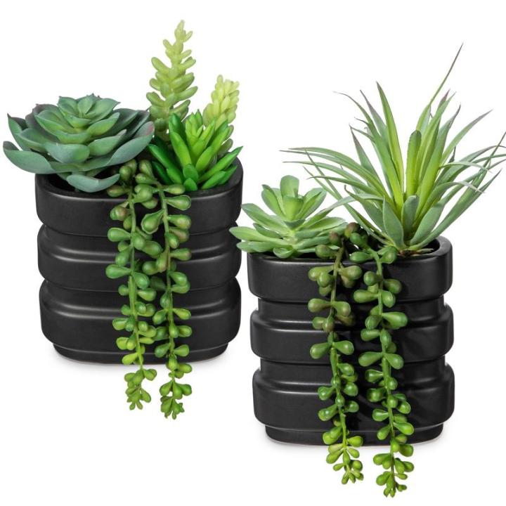 2 stuks kunstvetplant, voor thuisdecoratie, gepot nep vetplanten, faux vetplantenpot in keramische potten, moderne , voor binnen, voor badkamer, plank, kantoordecoratie