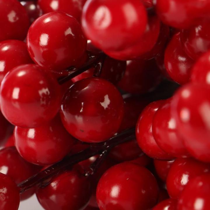 50 x strooidecoratie, decoratieve takken met bessen, decoratieve takken om te strooien als knutselbenodigdheden, verfraait geschenken en potpourris (50 stuks, weinig bessen)