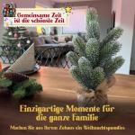 Kleine kunstkerstboom, 35 cm, vorst, natuurgetrouwe replica met spuitgietelementen, kunstkerstboom, decoratie, dennenboom, kerstdecoratie (vorst, 35 cm)