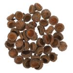 100 STK Trockene Eichelverzierung Griffe Füllstoffe Eichel Christbaumschmuck Vase Eichelfüller Eichel Weihnachtsschmuck Heimdekoration Eichel Handwerk Eichel Kranz Ornament Bausa