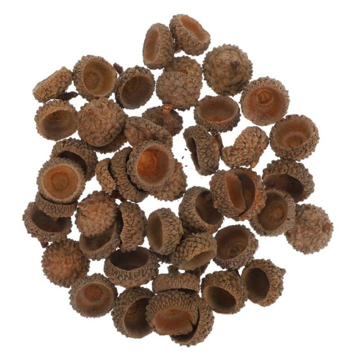 100 STK Trockene Eichelverzierung Griffe Füllstoffe Eichel Christbaumschmuck Vase Eichelfüller Eichel Weihnachtsschmuck Heimdekoration Eichel Handwerk Eichel Kranz Ornament Bausa